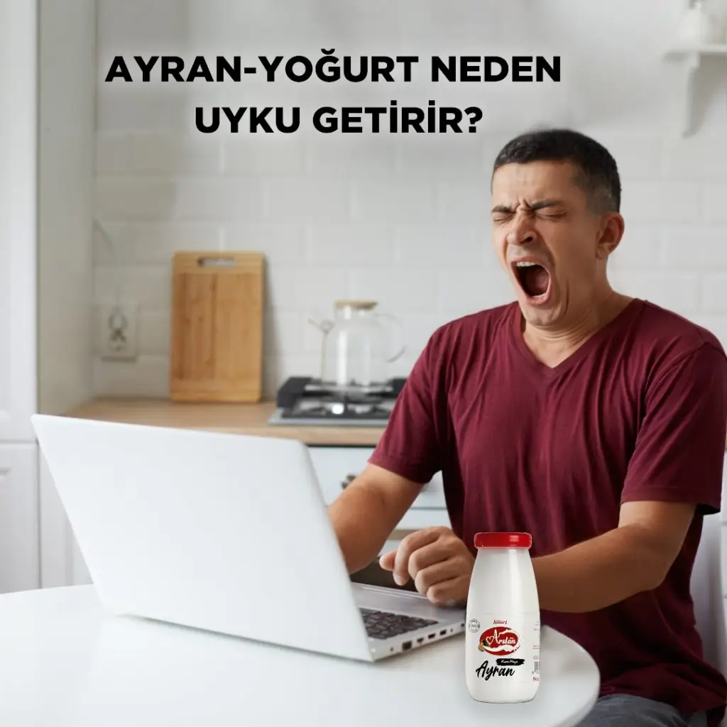 Ayran - Yoğurt Neden Uyku Getirir?