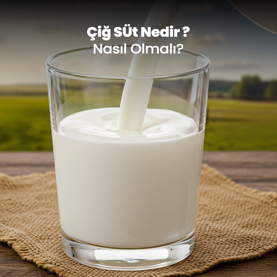 Çiğ Süt Nedir? Faydalı Mı?