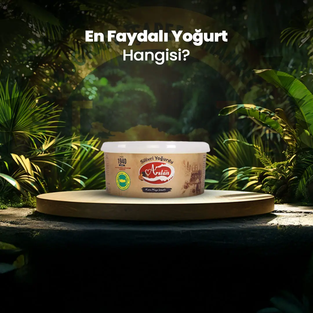 En Faydalı Yoğurt Hangisi?