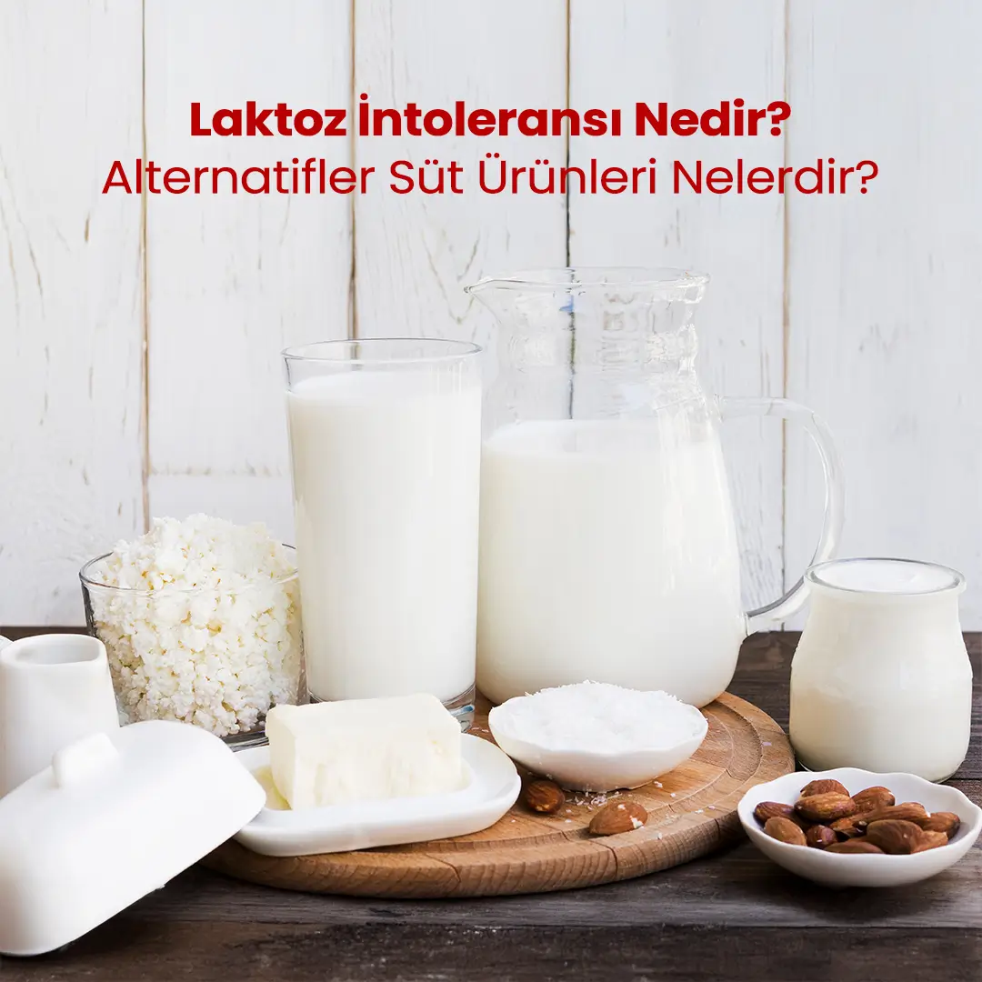 Laktoz İntoleransı Nedir? Alternatif Süt Ürünleri Nelerdir?