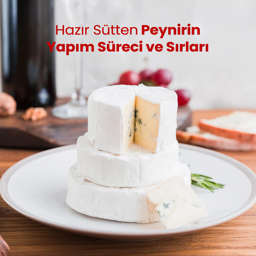 Hazır Sütten Peynirin Yapım Süreci ve Sırları