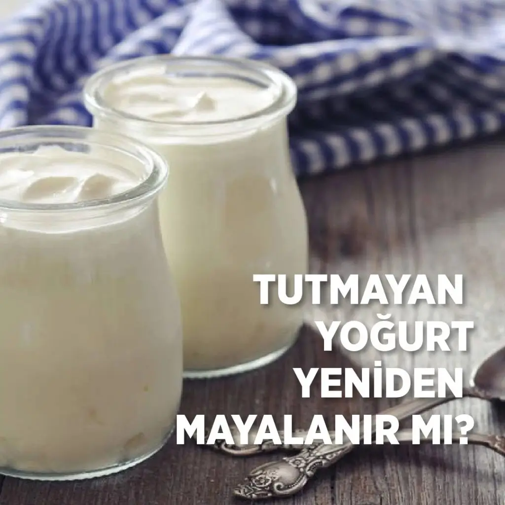 Tutmayan Yoğurt Yeniden Mayalanır Mı?