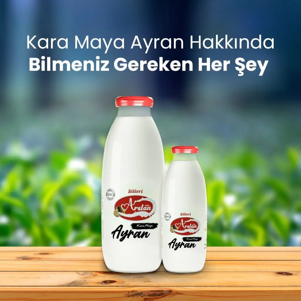 Kara Maya Ayran Hakkında Bilmeniz Gerekenler