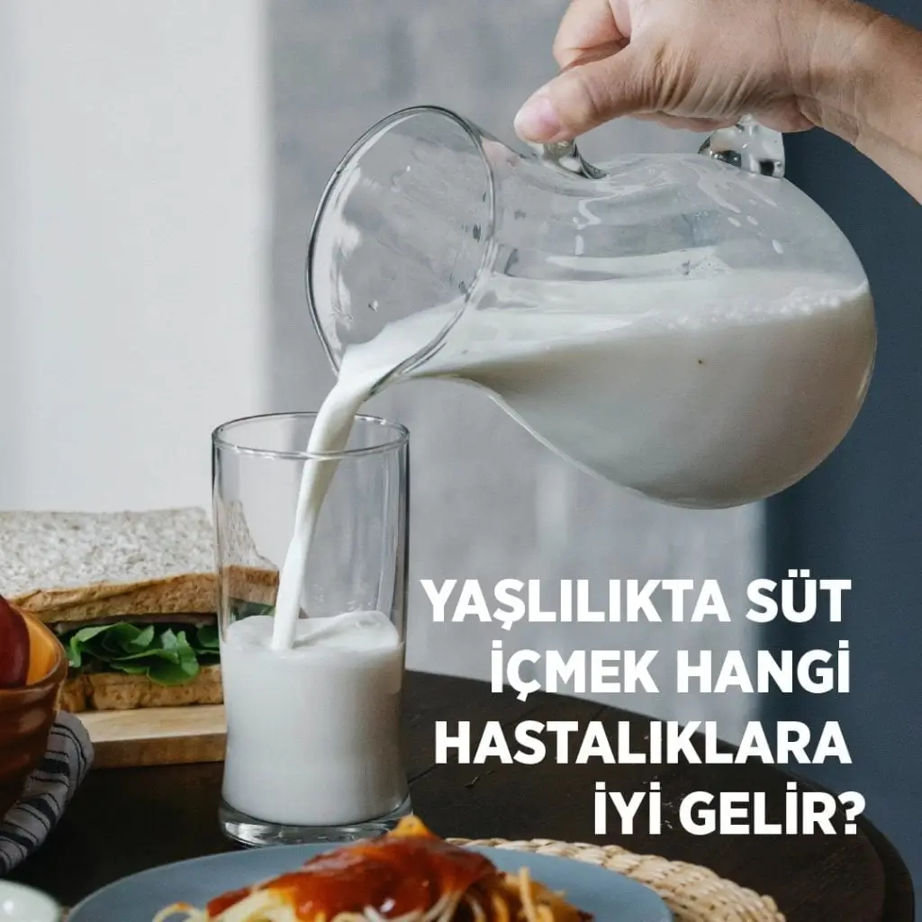 Yaşlılıkta Süt İçmek Hangi Hastalıklara İyi Gelir?