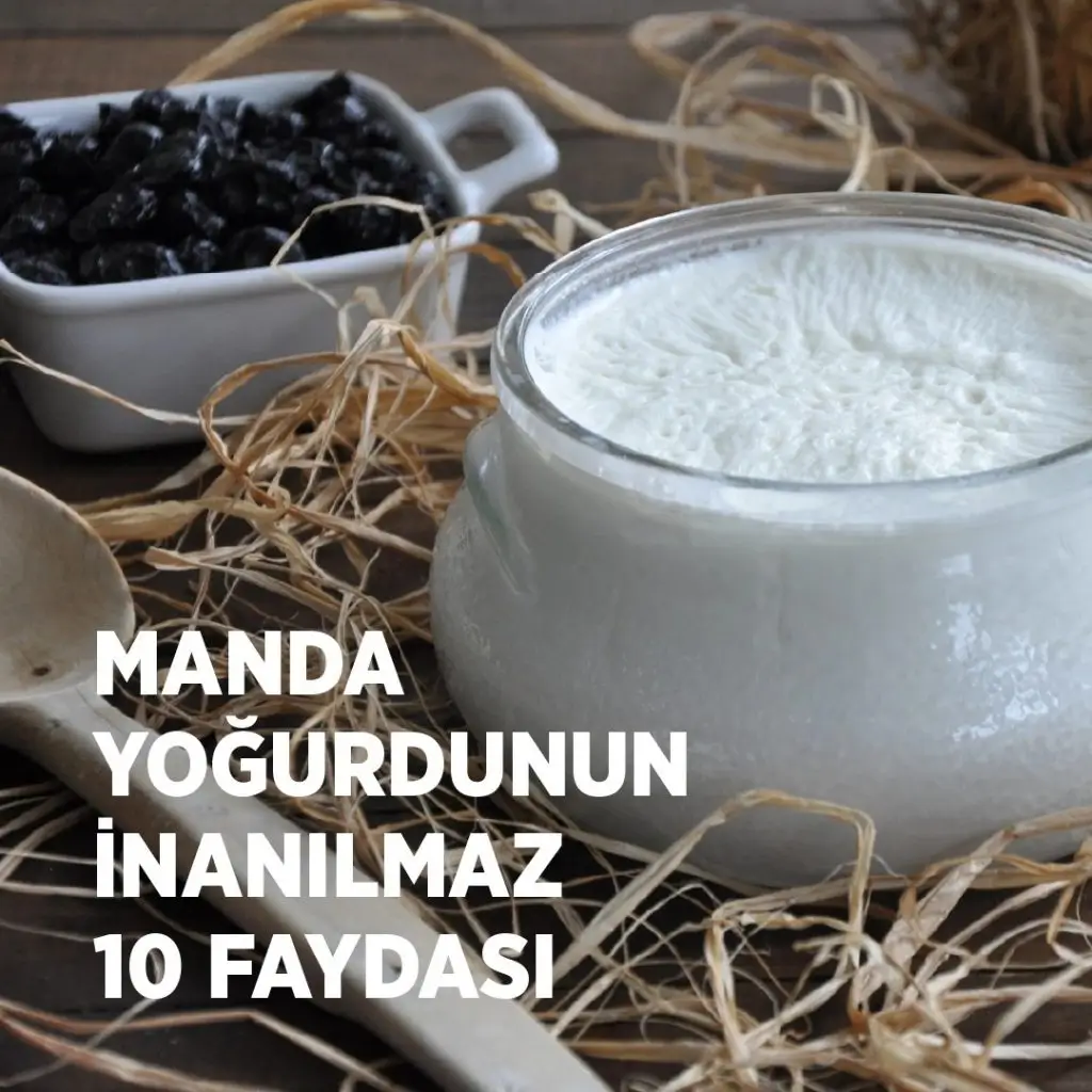Manda Yoğurdunun İnanılmaz 10 Faydası