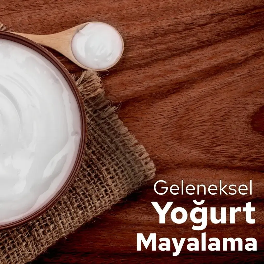 Yoğurt Mayalama Çeşitleri Nelerdir?
