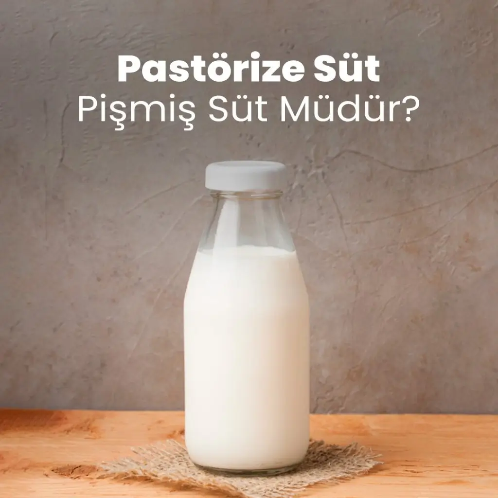 Pastörize Süt Pişmiş Süt Müdür?