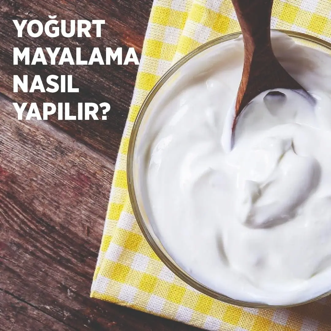 Yoğurt Mayalama Nasıl Yapılır?