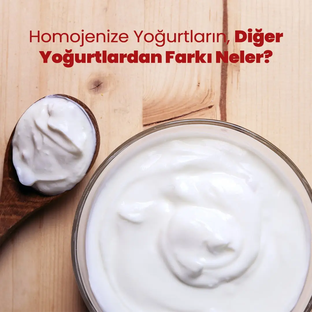 Homojenize Yoğurtların, Diğer Yoğurtlardan Farkı Neler?