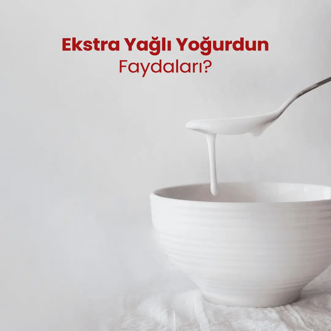 Ekstra Yağlı Yoğurdun Faydaları