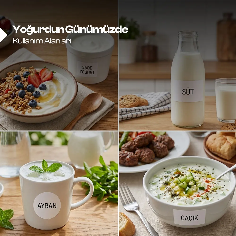 Yoğurdun Günümüzde Kullanım Alanları 