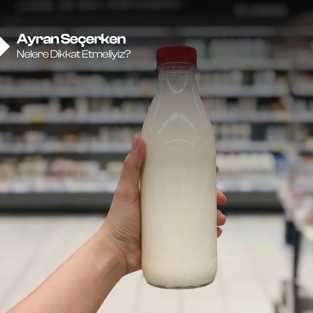 Ayran Seçerken Nelere Dikkat Etmelisiniz? 