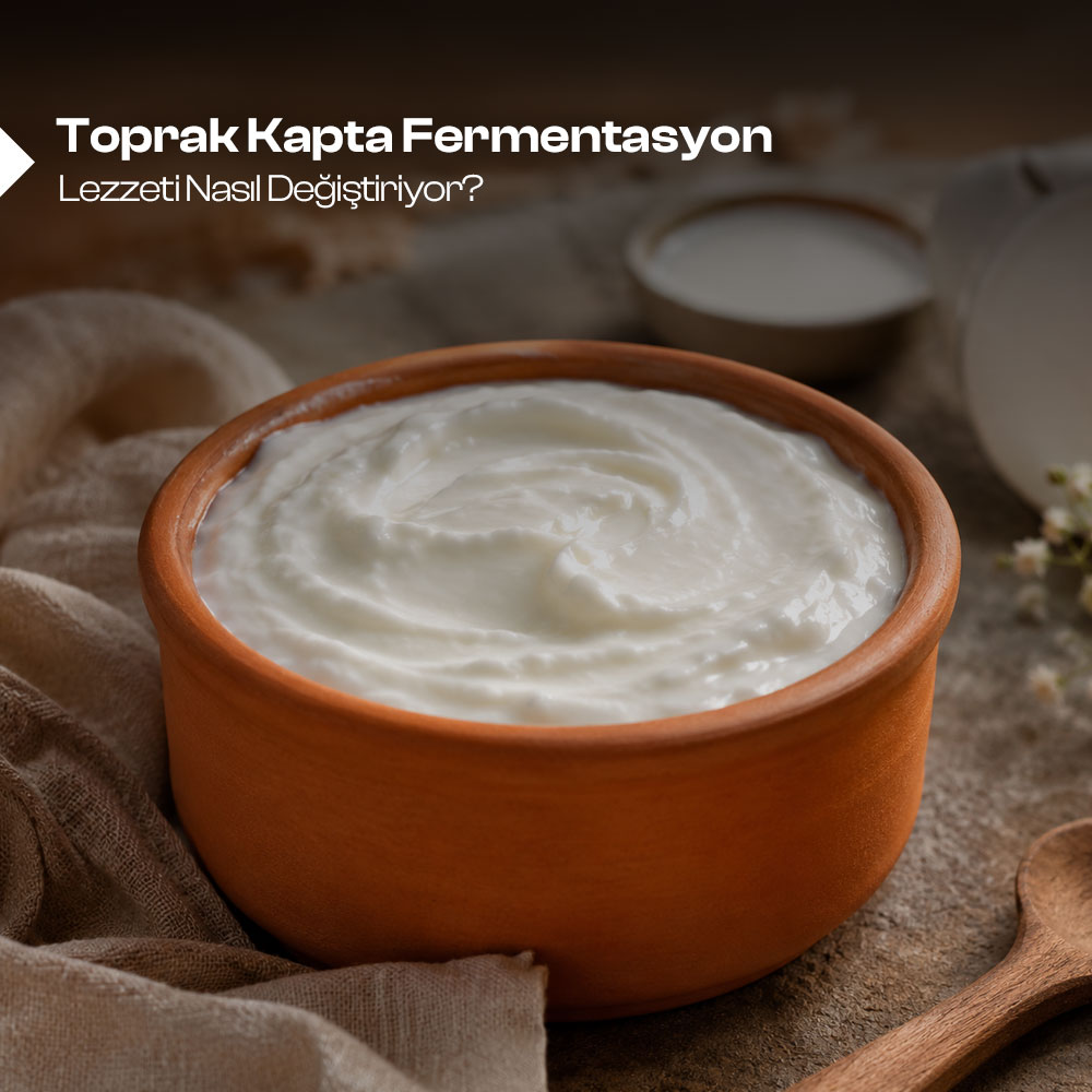 Toprak Kapta Fermentasyon Lezzeti Nasıl Değiştiriyor 