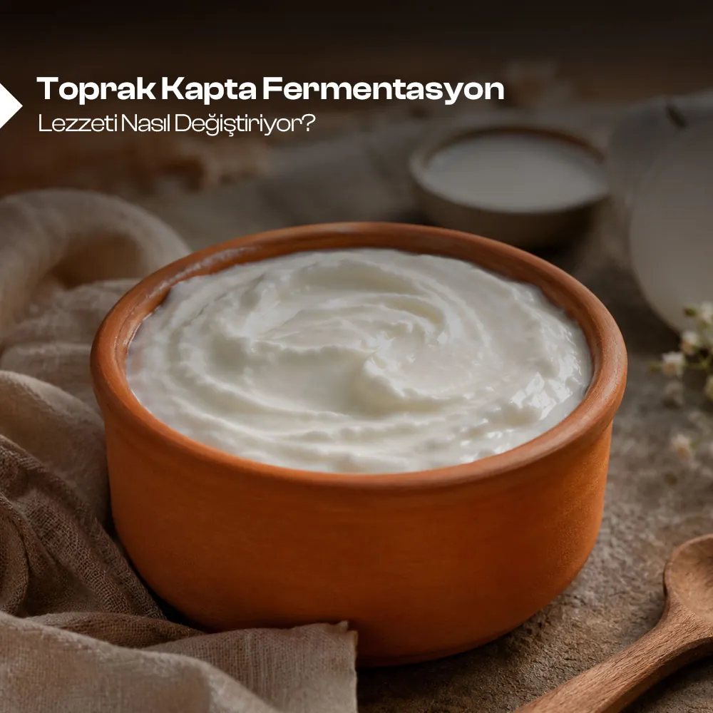 Toprak Kapta Fermentasyon Lezzeti Nasıl Değiştiriyor 
