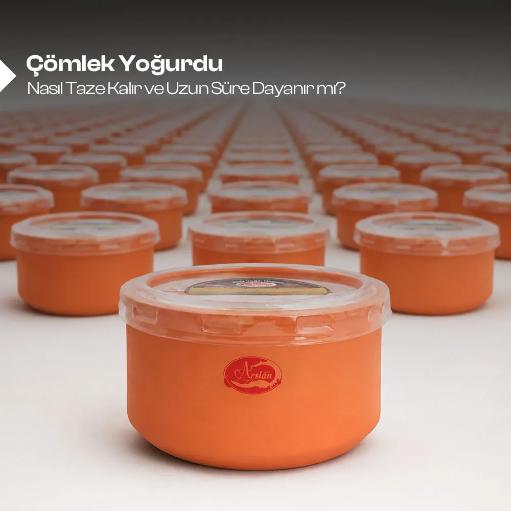 Çömlek Yoğurdu Nasıl Taze Kalır ve Uzun Süre Dayanır mı? 