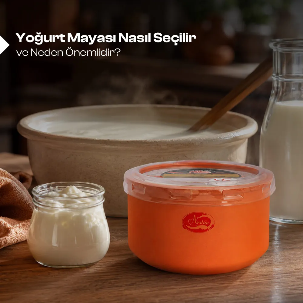 Yoğurt Mayası Nasıl Seçilir ve Neden Önemlidir?  