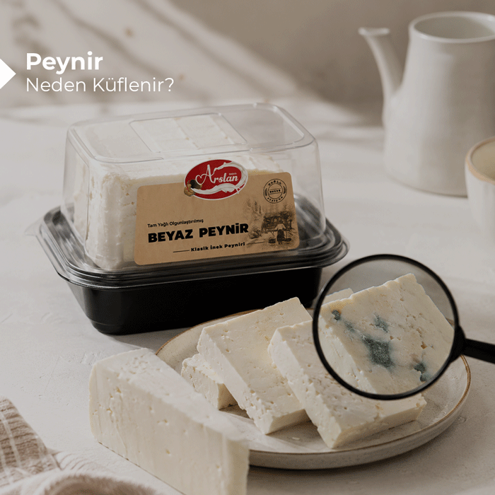 Peynir Neden Küflenir? 